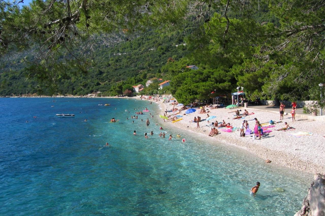Apartments By The Sea Zivogosce - Porat, Makarska - 20207 Igrane Exterior photo